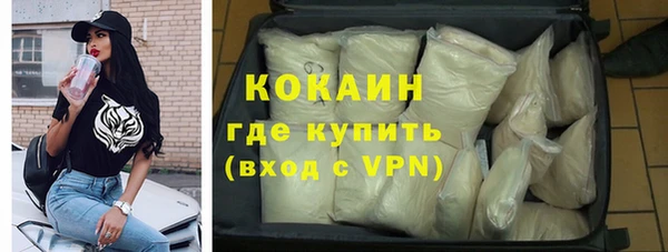 индика Михайловка