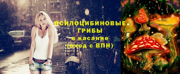 индика Абдулино
