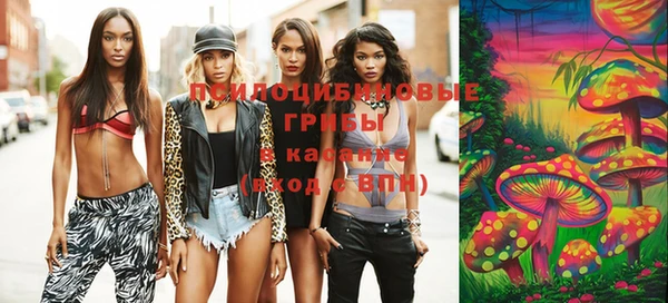индика Михайловка