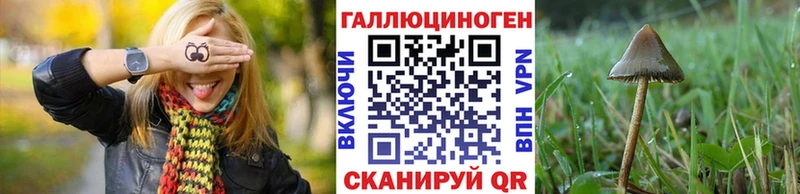 Псилоцибиновые грибы прущие грибы  hydra ССЫЛКА  Таштагол 